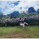 (주)펀라이드 이미지