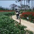 태경 Daum카페