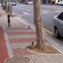 구구구PC 이미지