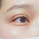 엘속눈썹 이미지