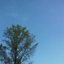 섬진아트홀 앞 이미지