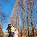 천년나무행복작은도서관 | 겨울에도 사진 맛집 경주 포토존 경주 경북천년숲정원 경주데이트 경주핫플 포토존 리뷰 나무다리에서...