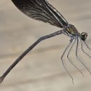 사간의향기 이미지