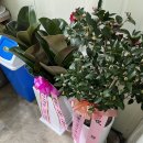 죽전자동차정비센타 | 쏘렌토 엔진오일 교환 / 대구 성서 월암정비 자동차서비스센터 후기 / 내돈내산