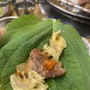 노포갈비