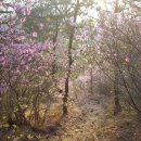 제2금강산 등산로입구 이미지