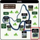 숲속반디 이미지