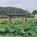 송이테마공원 주차장 이미지