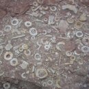 반도기계 이미지