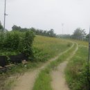 구룡1리 이미지