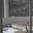 펜션무이 | 고요한 풍경 속에서 보내는 하루, 펜션무이 숙박 후기 🌙