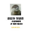 [남부터미널 나오리주물럭] 내돈내산ㅣ1인 9400원에 강남에서 오리고기 ! 뭐하나 빠지는게 없는 보물...