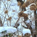 함평자연생태공원 이미지