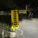 서문시장 | 대구 서문시장 야시장 먹거리 후기 / 주차 / 휴무일