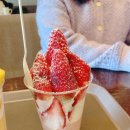 요거프레소 의정부행복로점 – 메리딸기 &amp; 메리망고 후기 🍓🥭