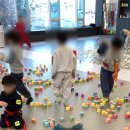 라이온 태권스쿨 이미지