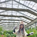 서울댄스스포츠학원 이미지