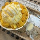 광주 북구 용봉동 애견동반 카페 전철우사거리 카페로운 망고빙수 후기