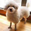 살랑살랑 이미지