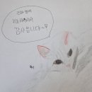 라라쉼터 이미지