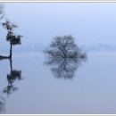 호수의아침 이미지