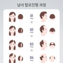 백플러스 이미지
