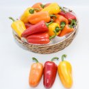 (주)다온산업개발