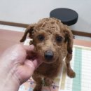 신월동178 이미지