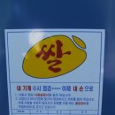 동아정미기