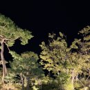 탑스 노래연습장 네이버블로그