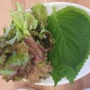 환이네회식당