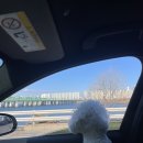 사계약국 이미지