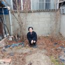 시티이용소 이미지