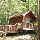 용인자연휴양림1 이미지