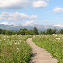 백두산화원 이미지