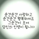 시절인연 이미지