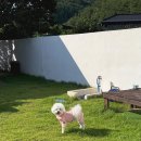 경북종합동물병원 이미지