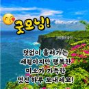 최씨고집 Daum카페
