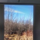 숲이그린집 이미지