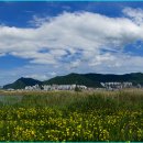 맥도생태공원 이미지