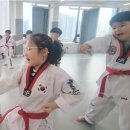 타이거킥스태권도장 네이버블로그