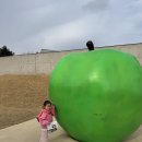 까치비디오 | 원주 당일치기 : 뮤지엄 산. 까치둥지. 수가성순두부