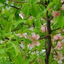 준피부과의원 이미지