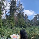 일산그랜드아가방 | 둘이 보내는 마지막 결혼기념일(임신 33주)