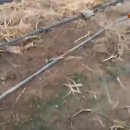 장선농장 이미지