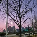 제이든29-1 | 2025 크리스마스까지 복작복작 일상 그리고 선물은요