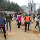 효원나라다