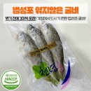 9월17일.민어(회,필렛),고등어,참조기,갈치,小민어,감성돔,복어,갯장어,서대,잡어,황가오리,병어,덕자,오징어,황석어,법성포굴 이미지