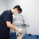 역삼생생본의원·한의원 네이버블로그
