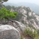 형석농장 이미지